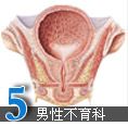 男性不育科